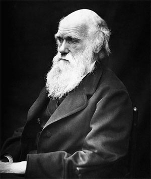 Darwin