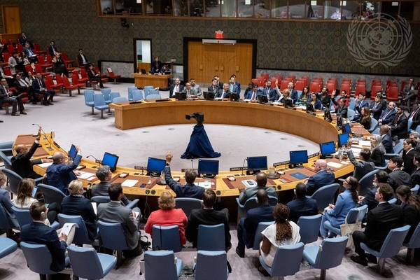 UN Security Council